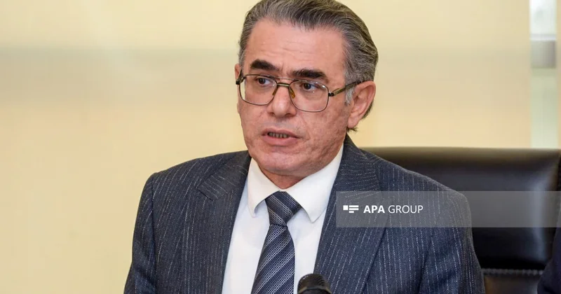 Natiq Məmmədli: Azərbaycanda dezinformasiya ilə mübarizə üçün siyasi sistem mövcuddur