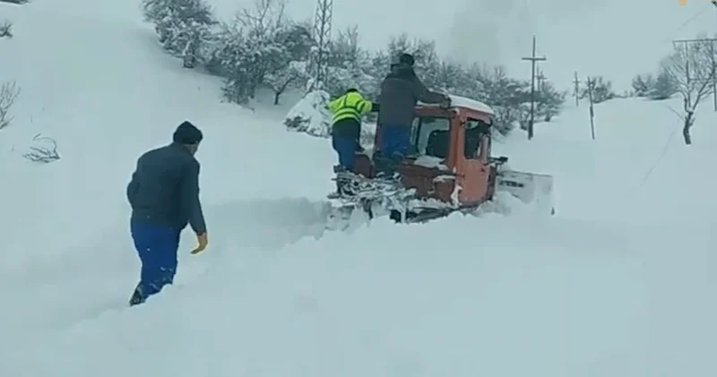 Güclü qar cənubda fəsadlar törətdi “Azərişıq” fasiləsiz işləyir+Video