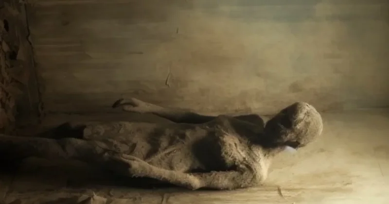 Mumiyanın içindən çıxan əşya alimləri heyrətləndirdi