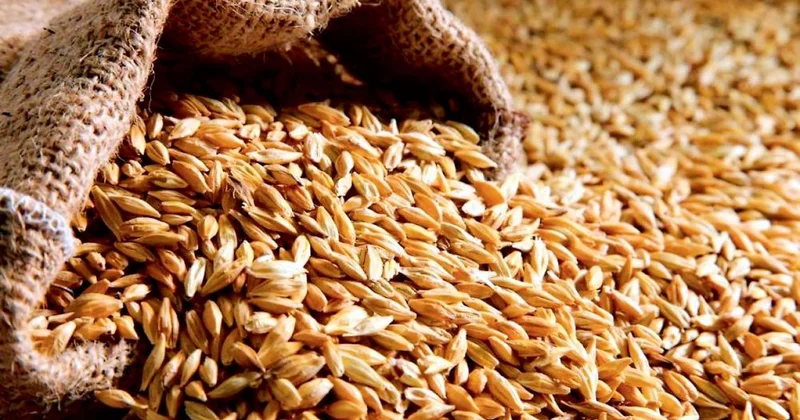 Российская пшеница теряет китайский рынок Minval Politika