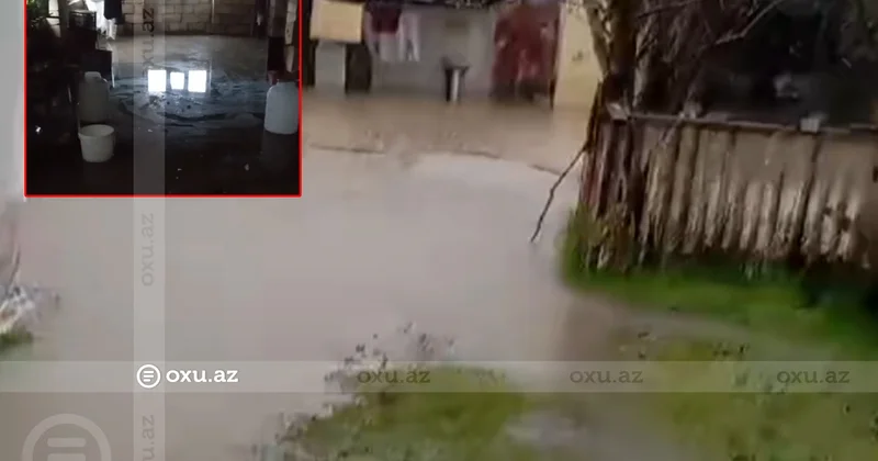 Masallıda acınacaqlı vəziyyət: Həyətləri su basdı, təsərrüfata CİDDİ ZİYAN DƏYDİ