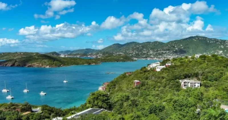 СМИ раскрыли неожиданную деталь о последнем острове, проданном США Данией Minval Politika