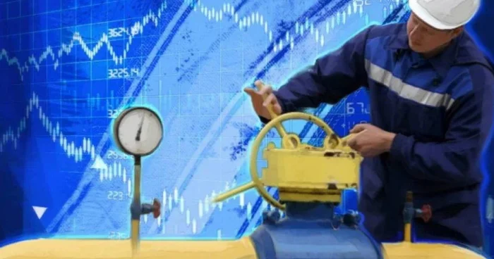 Qazın qiyməti artır