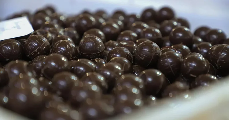В Армении планируется открытие крупнейшей в регионе шоколадной фабрики