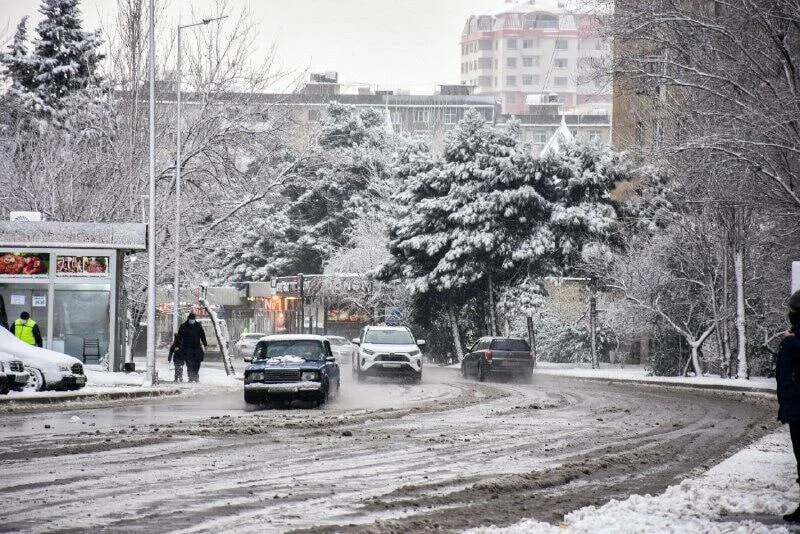 Sürücülərə XƏBƏRDARLIQ: Bu şəxslər hərəkətə mane olurlar