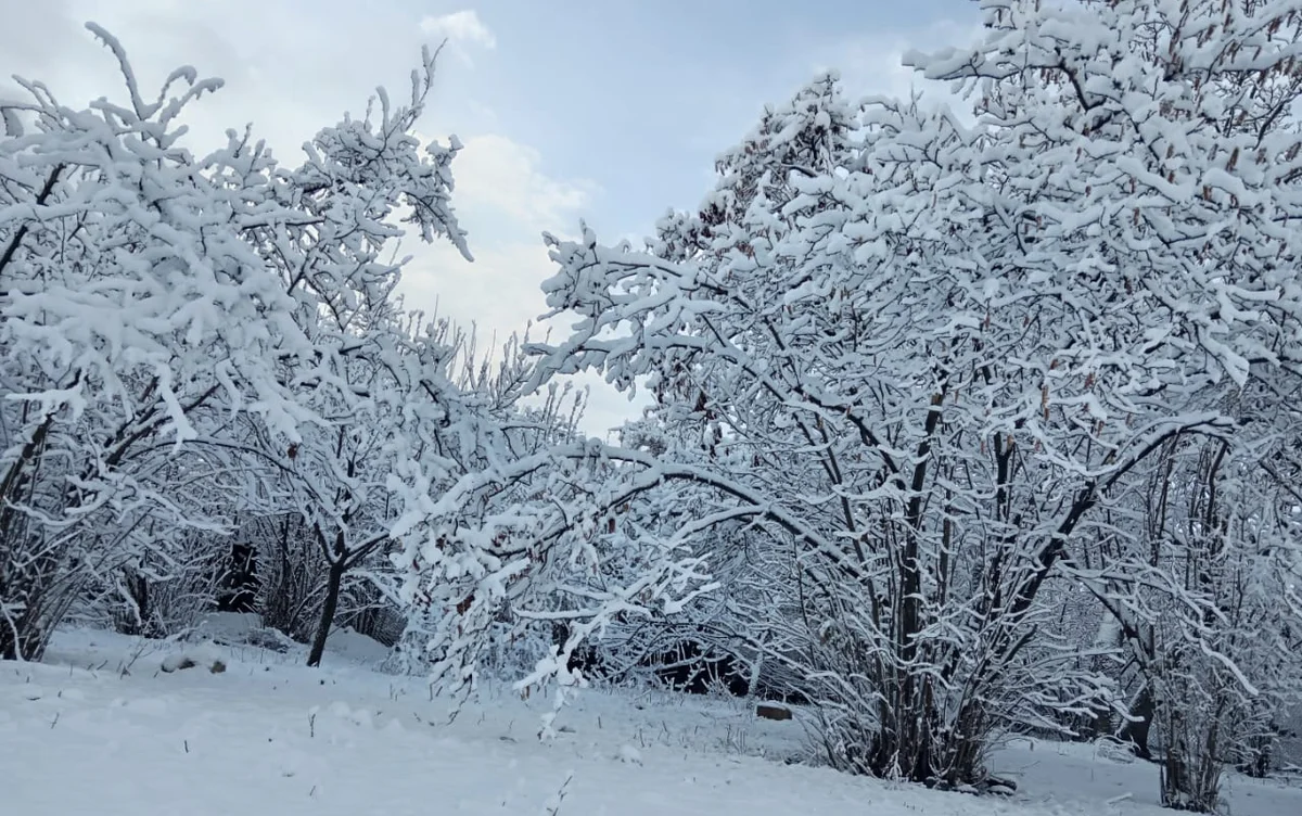 Temperatur normadan 7.5 dərəcə aşağıdır Fotolar