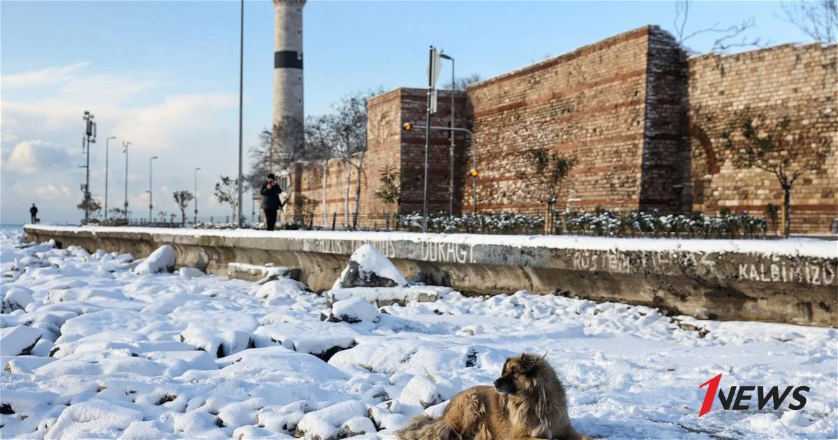 Власти Стамбула отменили занятия в школах из за снегопада