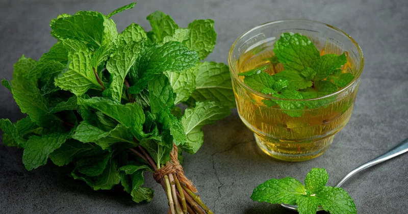 Hormonal akne ilə mübarizədə yeni trend: Buruq nanə (Spearmint) çayı