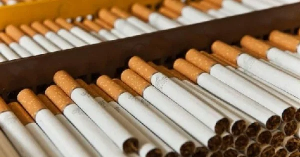 Ölkədə tütün məmulatlarının istehsalı artıb