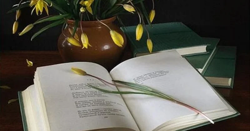 21 Mart Ümumdünya Poeziya Günüdür