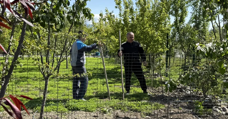 “Burada dövlətimiz tərəfindən hər bir şərait yaradılıb” “Böyük Qayıdış”ın ilk müjdəçisi Ağalıdan reportaj VİDEO
