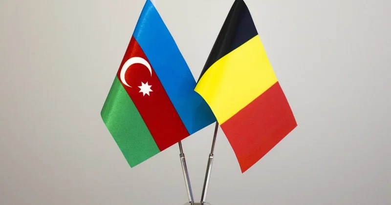 Azərbaycan Belçika işçi qrupunun fəaliyyəti dayandırılsın TƏKLİF