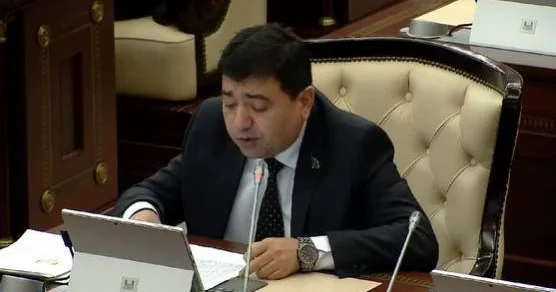 Deputat: “Cənub Qafqazda yeni geosiyasi reallıqlar yaratmışıq”