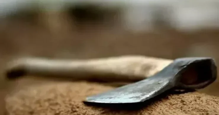 Gəncədə arvadını baltalayan kişi tutuldu YENİLƏNİB