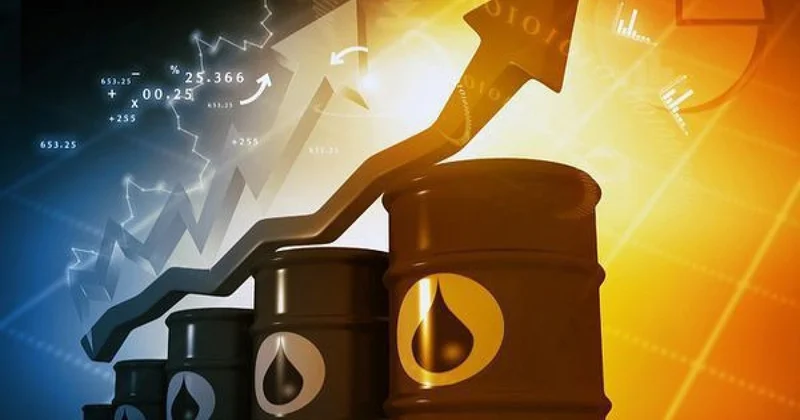 Beynəlxalq Enerji Agentliyi: Neft qiymətlərinin artması Türkiyəyə daha az təsir edəcək
