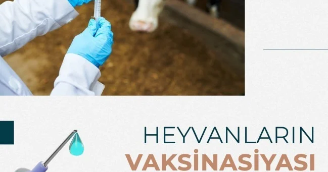 Как защитить национальное достояние
