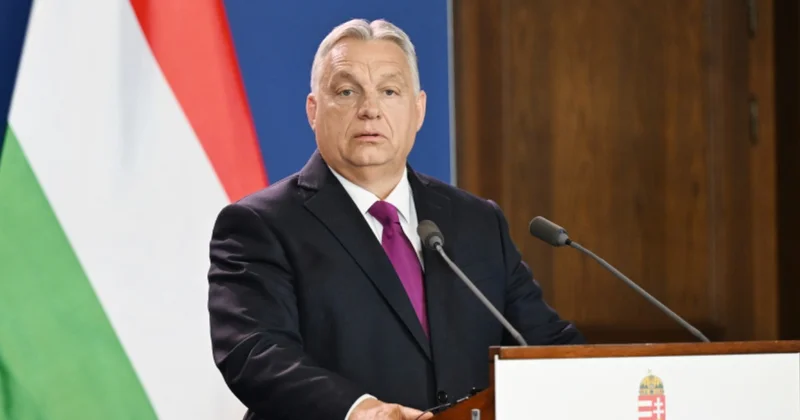 Орбан выступил в защиту президента Венгрии Minval Politika