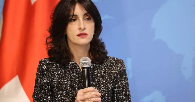 Глава МИД Грузии получила новую должность Minval Politika