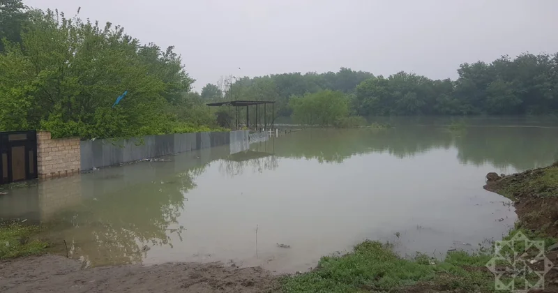 В Зардабе повысился уровень воды в Куре, ситуация под контролем