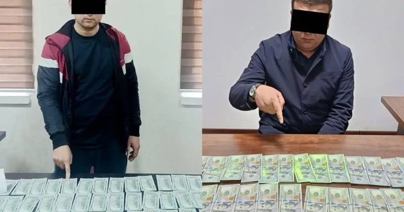 Дорогая мечта : в Узбекистане пресекли попытки незаконной отправки граждан за рубеж