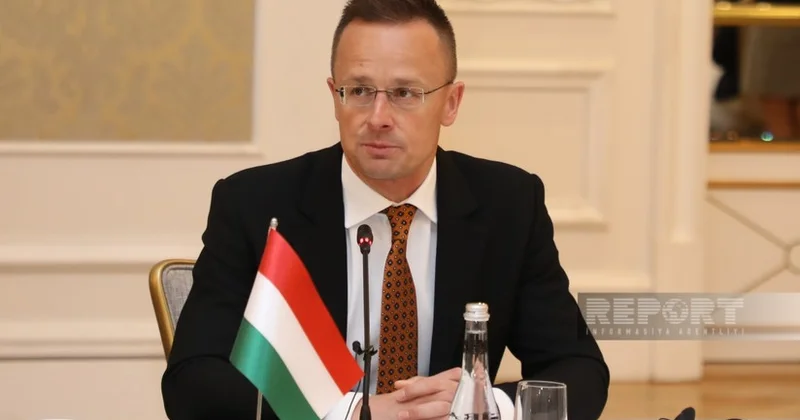 Глава МИД: Венгерские энергетические компании приобрели права собственности на нефтегазовые месторождения Азербайджана