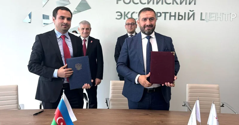 Азербайджанская компания создаст в Дагестане оливковый сад