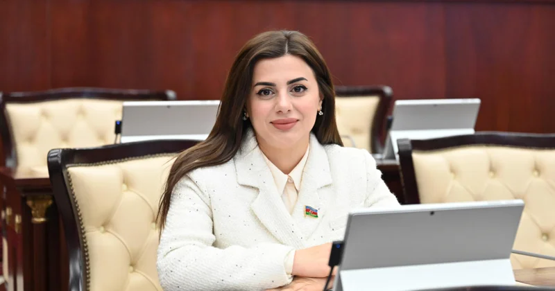 Azərbaycan ilə Macarıstanın enerji sahəsindəki əməkdaşlığı yeni mərhələyə qədəm qoyur ŞƏRH