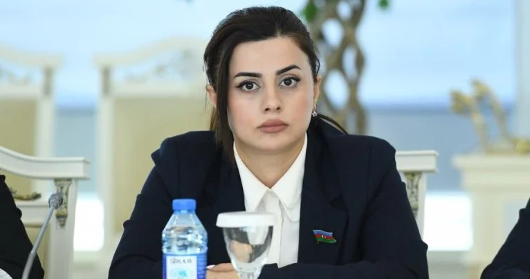Azərbaycan regionda sülhün, əməkdaşlığın və inkişafın təminatçısı rolunu oynamağa hazırdır