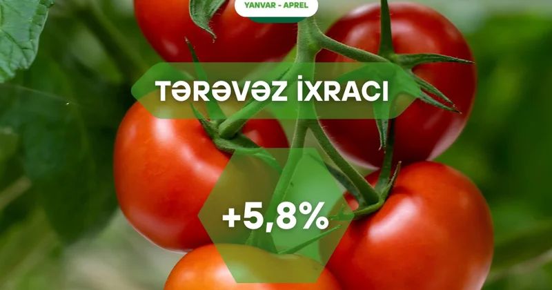 Xarici bazarlara tərəvəz ixracı neçə faiz artıb?