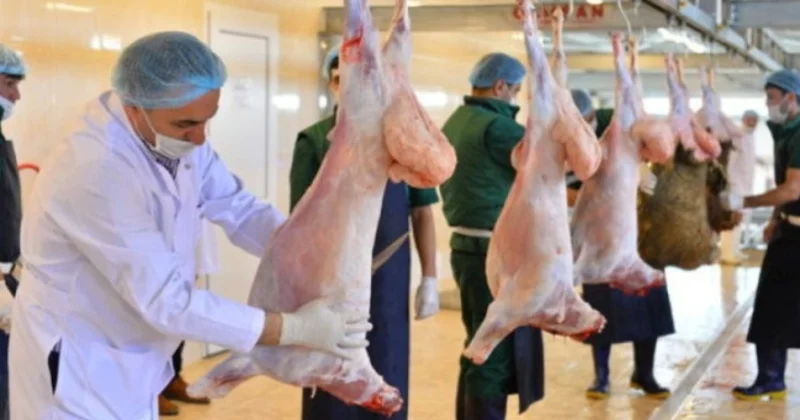 Qurbanlıq heyvanın kəsimi zamanı hansı tələblərə əməl edilməlidir? VİDEO