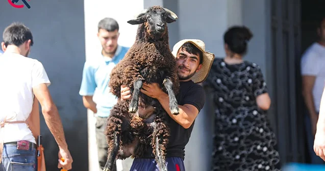 Qurbanlıq heyvanlar bu şərtlərlə kəsilməlidir