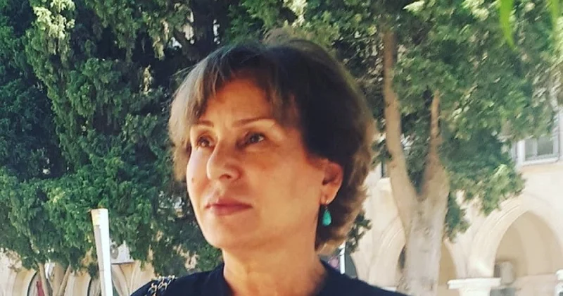 Qanadı qırılmış şam ağacları Şahnaz Şahin