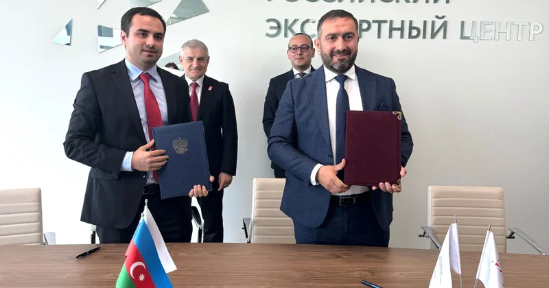 Yevlax Pilot Aqroparkın rezidenti Dağıstanda zeytun bağı salacaq