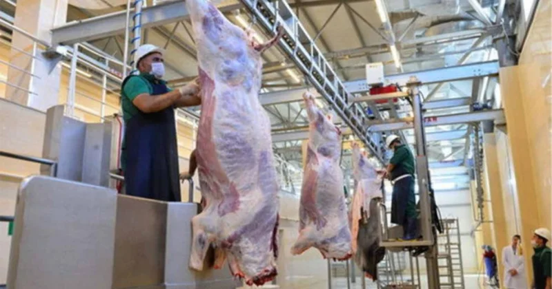 Qurbanlıq heyvanın kəsimi zamanı hansı tələblərə əməl edilməlidir?