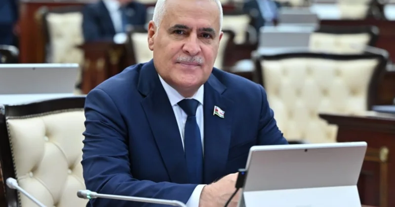 Azərbaycan və Macarıstan geniş iqtisadi potensiala malik ölkələrdir Deputat