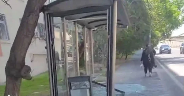 Bakıda güclü külək dayanacağın şüşəsini sındırdı VİDEO