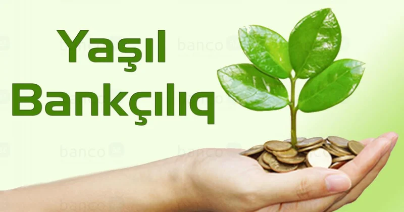 Banklar iqlim dəyişikliyinə qarşı mübarizədə aktiv rol oynayır EKSPERT FİKRİ