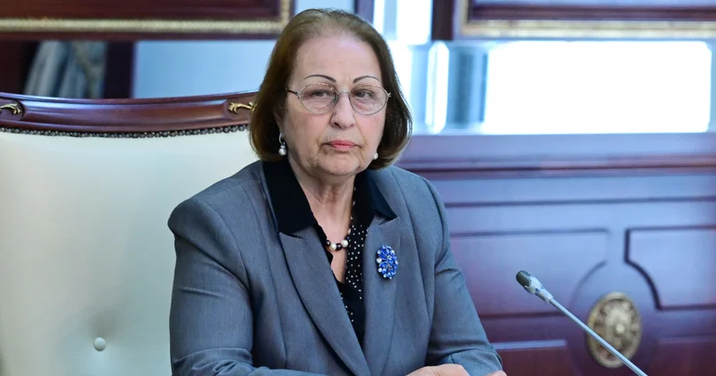 Sədaqət Qəhrəmanova: Gender bərabərliyi və məişət zorakılığına qarşı mübarizədə yerli strukturların rolu artırılmalıdır
