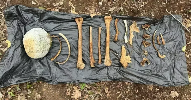 Ağdamda insan skeletinə bənzər sümük fraqmentləri aşkar edilib