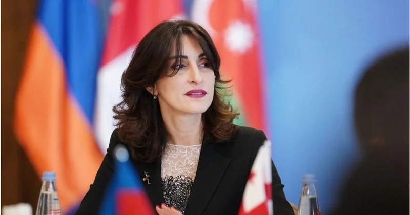 Gürcüstanın XİN başçısı: ABŞ ölkəmizlə bağlı mövqeyini formalaşdırmayıb