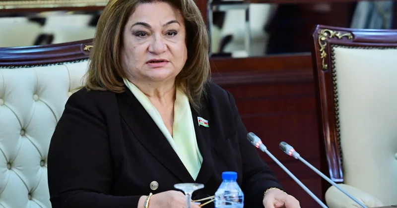 Ötən il ailə və gender məsələləri üzrə institusional tədbirlər gücləndirilib