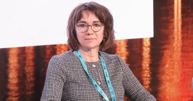 Zəngilanda sərfəli sıra evlər konseptində yeni prototip təqdim olunub