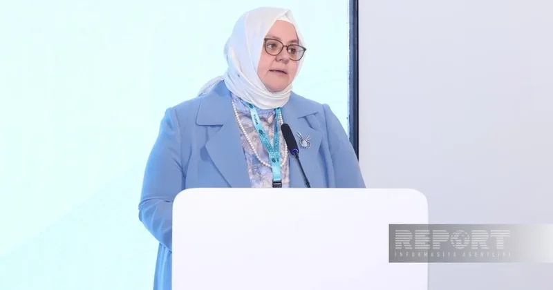 SESRIC назвал пять приоритетов поддержки малого и среднего бизнеса
