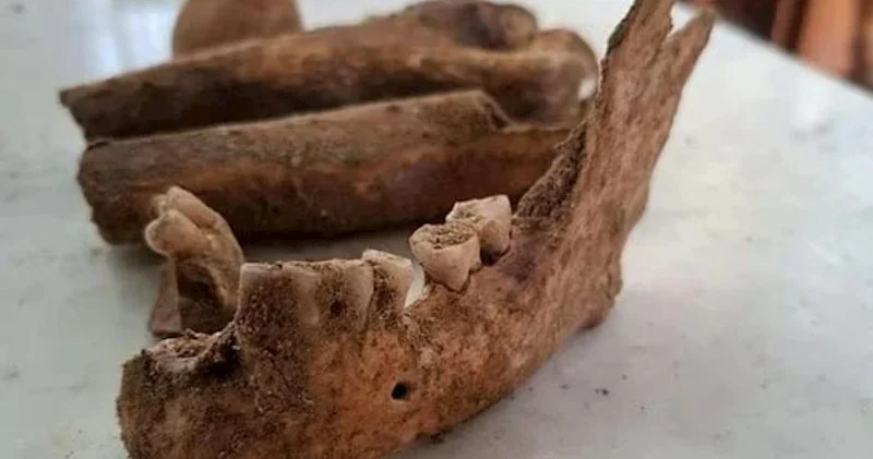 D Artanyanın qalıqlarını tapan arxeoloq onları hakimiyyətdən gizlətdi