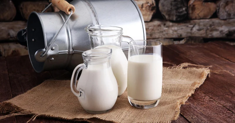 Назван молочный продукт для поддержания здоровья кишечника