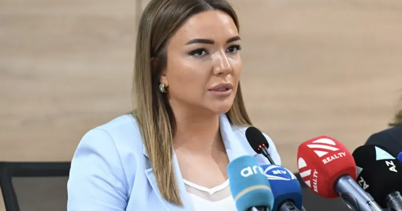 Айгюн Алиева о необходимости взаимодействия государства, бизнеса и гражданского общества