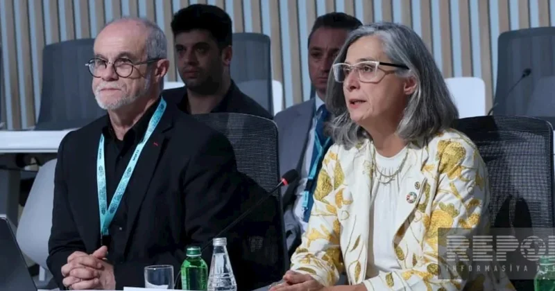 UN Habitat rəhbəri: Qlobal mənzil böhranı bərabər şəkildə paylanmayıb