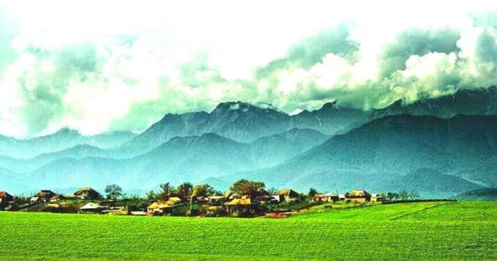 Kəndli niyə həyətində əkin becərmək istəmir? ARAŞDIRMA