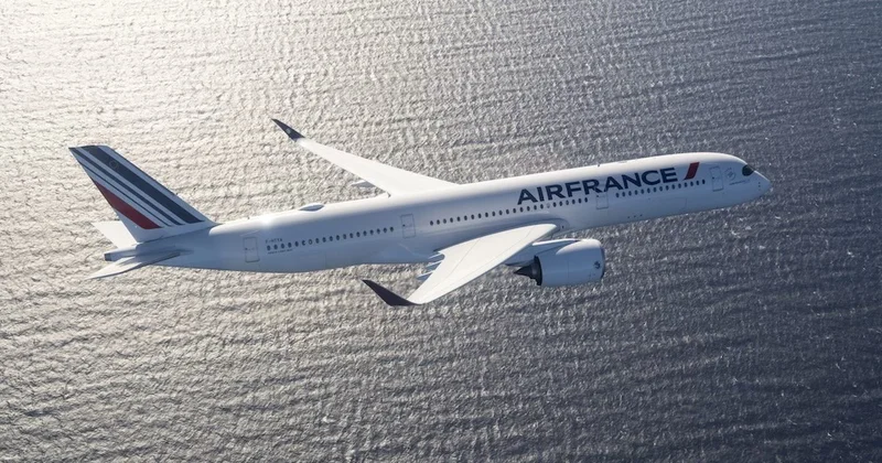 Суд признал ответственность Airbus и Air France за катастрофу 2009 года