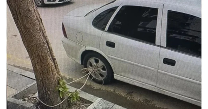 Seldən qorunmaq üçün avtomobilini ağaca bağladı